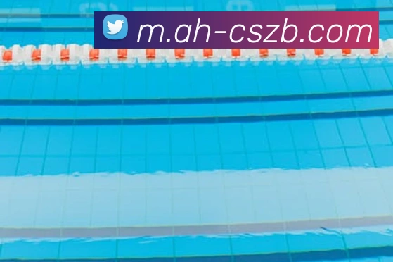 彩神争霸平台生态图