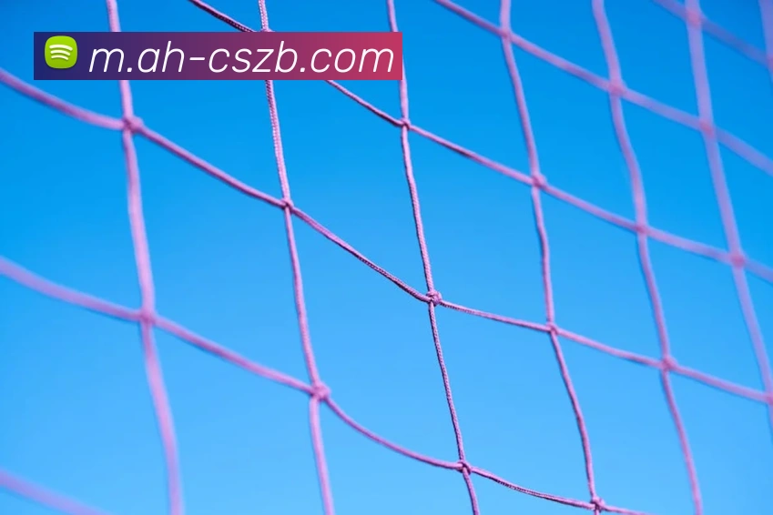 彩神争霸全站App 彩神争霸全站App